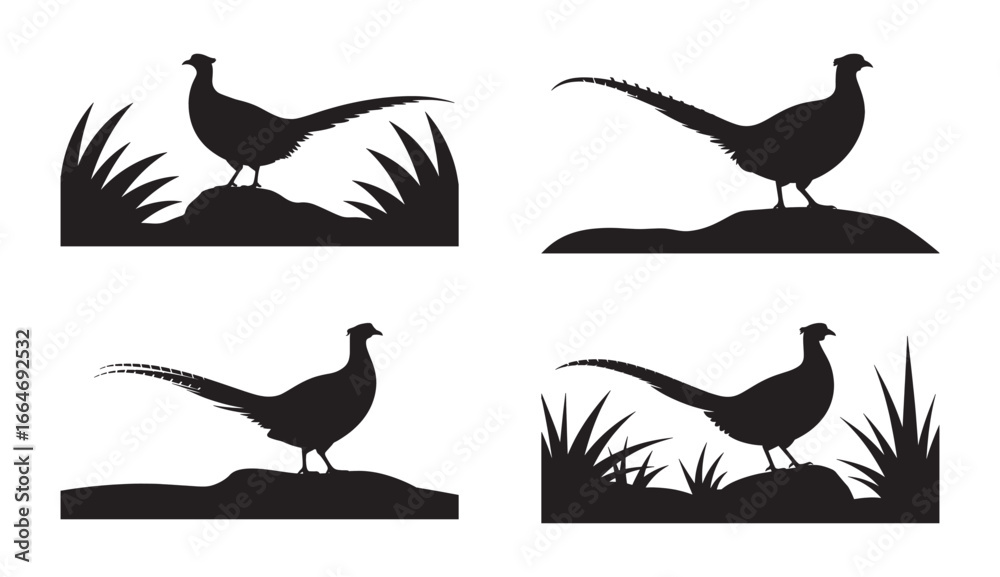 Fototapeta premium Silhouetted pheasants in different poses with grass and rocks vector illustrations