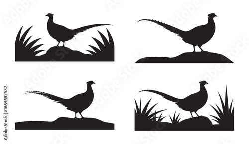 Silhouetted pheasants in different poses with grass and rocks vector illustrations