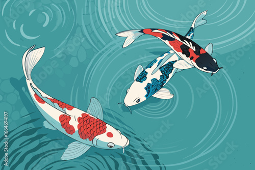 Close-up of a Japanese Koi fish swimming gracefully.