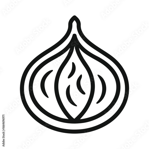 Fig Fruit Vector