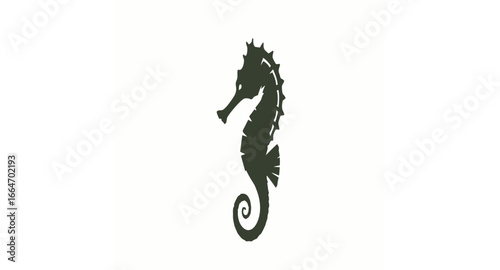 Elegant dark green seahorse silhouette with a spiny back and curled prehensile tail.