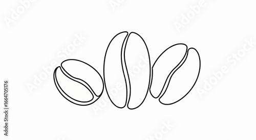 Simple Line Art Coffee Beans A Clean Design for Coffee Lovers