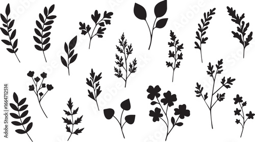 Collection of Black Silhouette Botanical Elements and Leaves on White Background branches flora