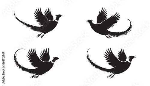 Elegant silhouettes of flying pheasants representing freedom and wildlife in a simple vector design