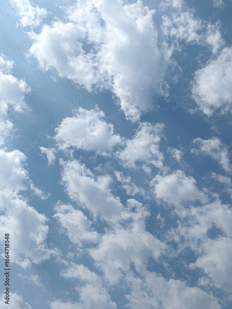 Obraz premium white clouds in the blue sky