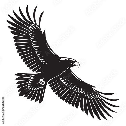 eagle vector illustration