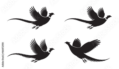 Silhouette collection of flying pheasants in various poses against a clean white background