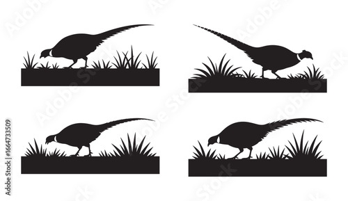 Silhouette illustrations of pheasant birds grazing in a field of grass with minimalist style