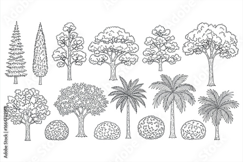Variety of Trees