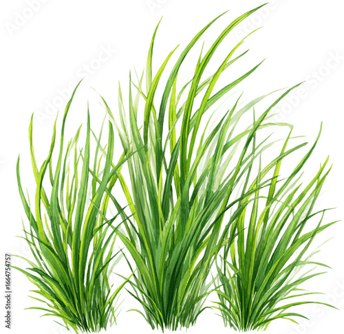 Lush green grass illustration, Generative AI