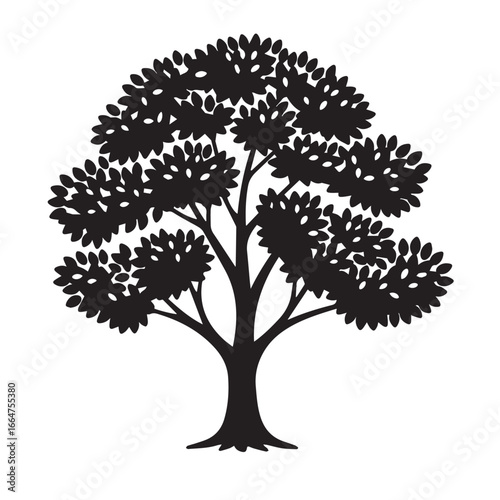 Silhouette of a deciduous tree with a full canopy of leaves on a white background plant nature