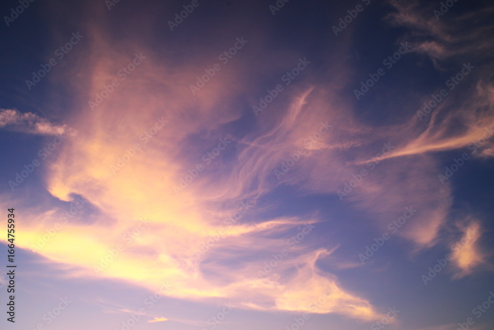 Fototapeta premium ユニークな形の夕焼け雲