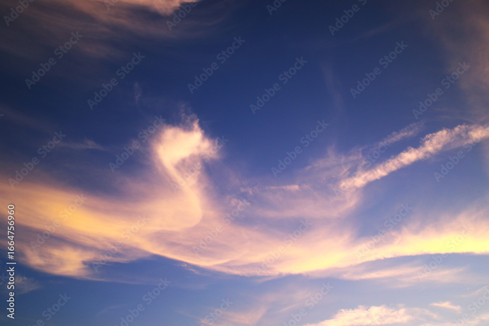 Fototapeta premium ユニークな形の夕焼け雲