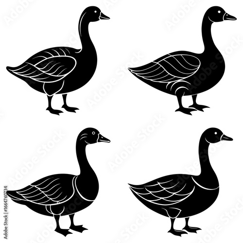 Four stylized black geese in varying poses against a white background in a vector illustration