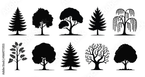 Set of black tree silhouette icons featuring diverse species and seasonal styles for nature, ecology, forest, and botanical design themes