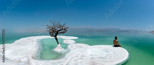 Tableau sur toile A man and a lonely tree on salt island in Dead Sea, Israel.