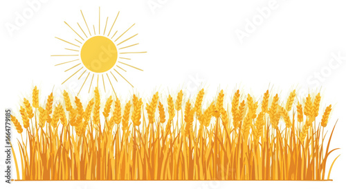Golden Wheat Field with Shining Sun Graphic Illustration Showing Harvest Season and Agriculture 50 characters minimum 100 characters maximum