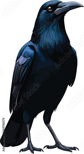 Cute cartoon a illustrator vector rook