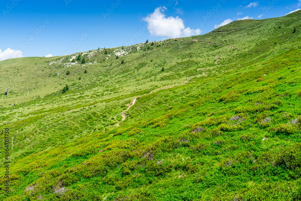 Obraz premium HGiking Through the Hirzer Alm South Tyrol