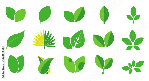 Collection of green leaf icons and symbols