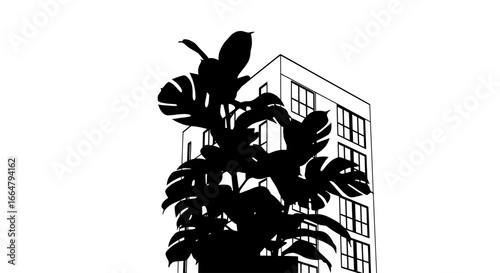 highresolution transparent background png silhouette of monstera plant modern building perfect for design projects and layouts