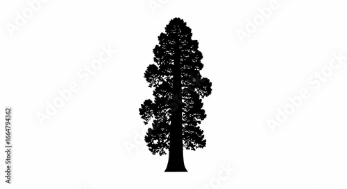 giant redwood silhouette highresolution transparent background image for design projects logos and website assets