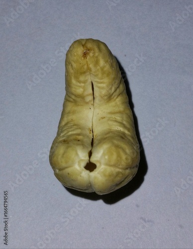 Close-up of a dried raw cashew nut kernel on a plain background