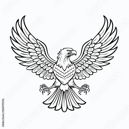 Majestic eagle with wings outstretched, a powerful and noble bird depicted in a detailed black and white line art illustration. Symbol of freedom and strength