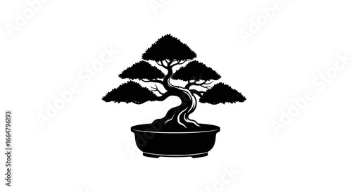elegant bonsai tree silhouette highresolution png with transparent background for design projects digital art