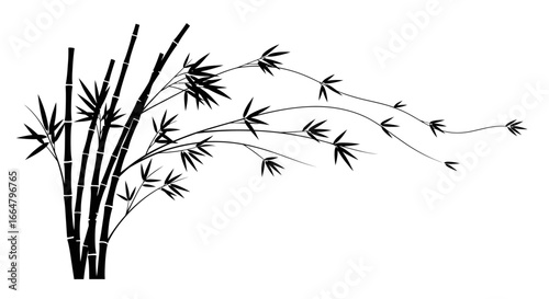 elegant black bamboo silhouette transparent png for design projects websites and prints instantly enhance your visuals