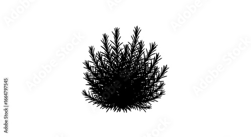 highresolution rosemary bush silhouette perfect transparent background png for design projects websites and app interfaces