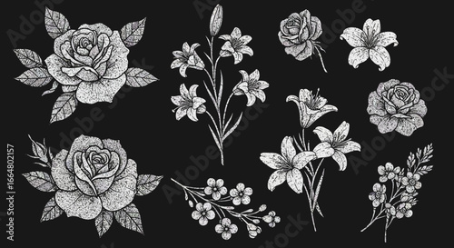 Elegant floral designs featuring roses and lilies in intricate dotwork style