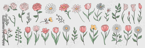 Botanical flower sketch set with doodled lilies and roses – Suitable for nature-themed decor, wellness branding, or paper goods.