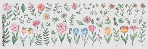 Whimsical botanical sketch set of flowers and leaves – Great for feminine branding, decorative prints, or art journals.