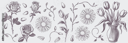 Simple botanical sketch set with flowers and vines – Suitable for wedding invitations, packaging, or decor prints.