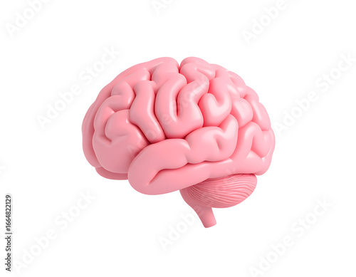 A stylized anatomical representation of a human brain, rendered in a soft pink hue, showcasing its complex structure and cerebral form.