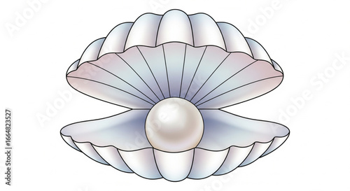 Illustration of an open seashell with a luminous pearl nestled inside, against a white background.