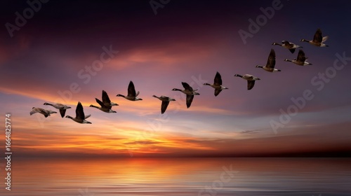 Migrating geese at sunset over tranquil waters nature photography scenic landscape serene atmosphere