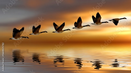 Geese in flight at sunset over tranquil waters nature photography serene landscape aerial perspective