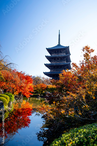 日本の京都にある東寺の五重塔と紅葉
