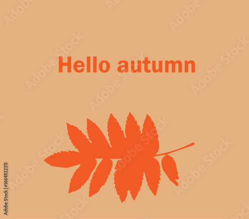 hi autumn text orange leaf on a light background,