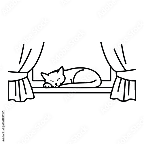 Black and white line drawing of a cat sleeping on a windowsill between curtains vector