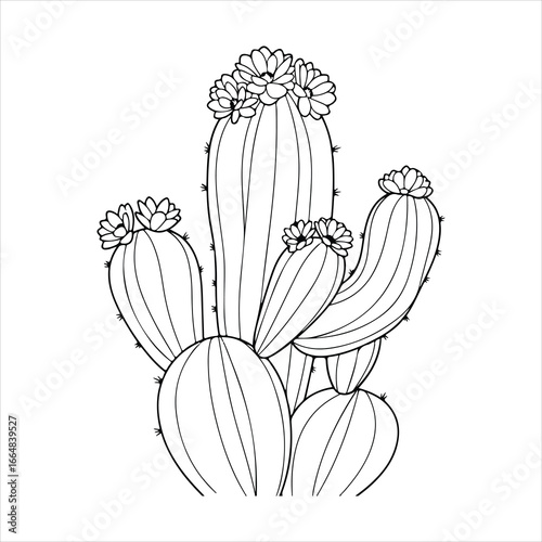 Black and white line drawing of a blooming cactus plant flower desert
