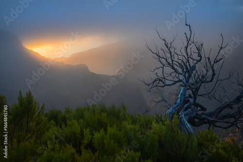 Sunrise on Madeira mountains