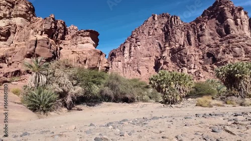 Wadi Al disah Saudi Arabia Deserts canyon Middle East exotic nature landscape 