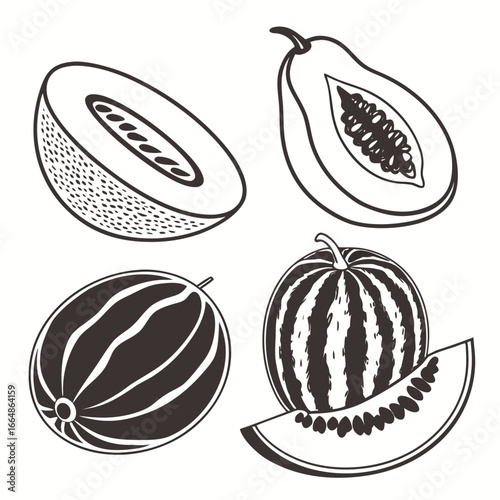 Cantaloupe papaya watermelon slices fruit sliced