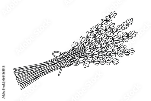 Black and white line drawing of a bunch of lavender tied with a bow string