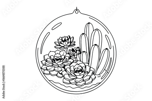 Black and white line drawing of succulents in a glass terrarium plant botanical