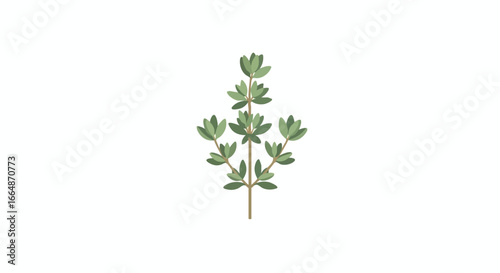 Stylized Illustration of a Green Herb Plant with Multiple Branches and Leafy Structures Suitable for Botanical Designs and Eco-Friendly Themes