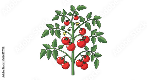 Illustration of a tomato plant with ripe red tomatoes and green leaves showcasing agricultural growth and fresh produce in a vibrant clean style